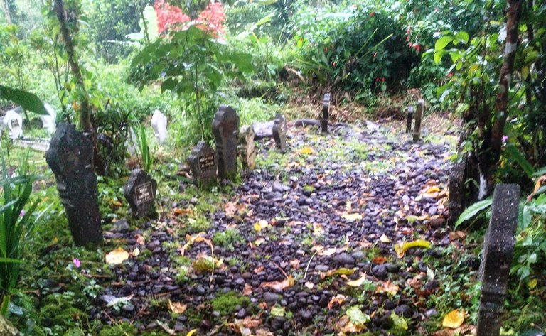 IMG_20220706_171054_HDR