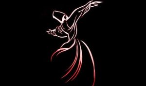 IMG_20221215_115524