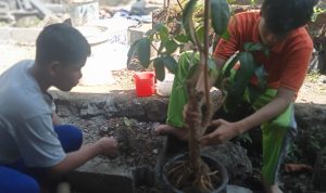 IMG_20230705_150123