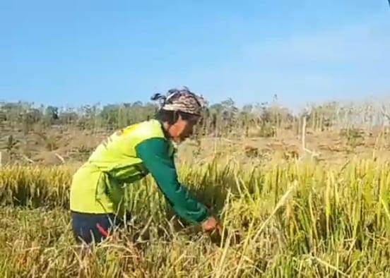 WhatsApp Image 2023-09-14 at 06.45.49