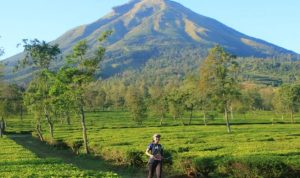 Dieng-Caldera01