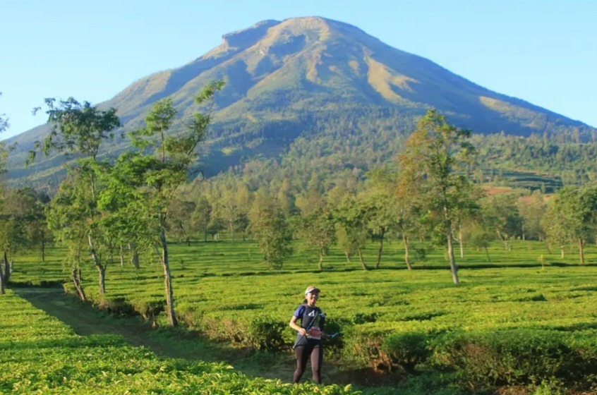 Dieng-Caldera01